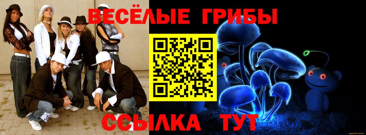Галлюциногенные грибы Psilocybe Великие Луки